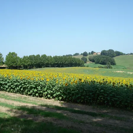Relais Du Chateau Saint-Blancard