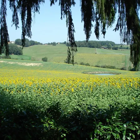 Hotel Relais Du Chateau Saint-Blancard