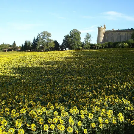 Hotel Relais Du Château 2*