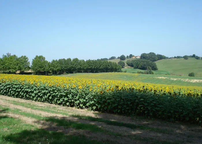 Relais Du Chateau Saint-Blancard