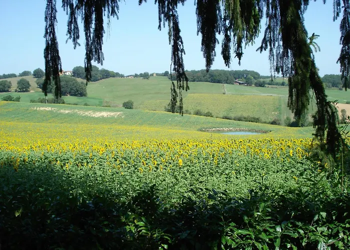 Hotel Relais Du Chateau Saint-Blancard
